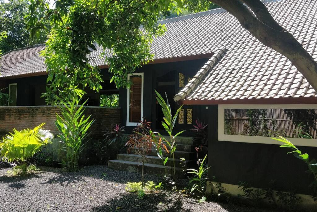 Villa King: Unique Villa With Indoor Swimming Pool Amed  Exterior photo