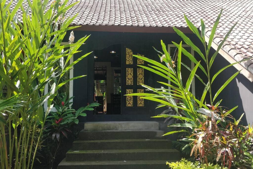 Villa King: Unique Villa With Indoor Swimming Pool Amed  Exterior photo