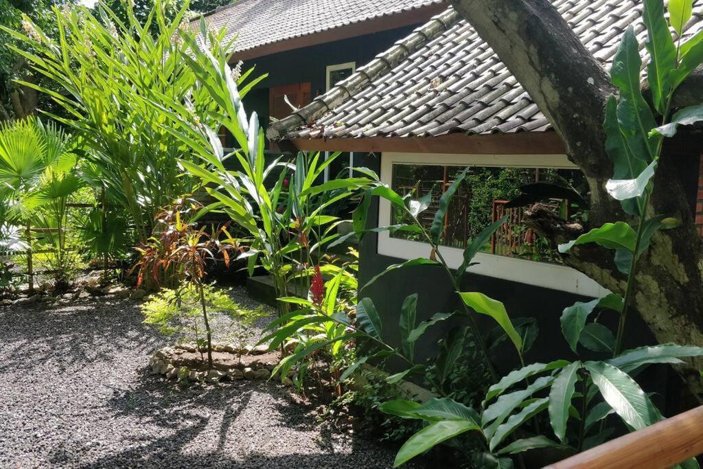 Villa King: Unique Villa With Indoor Swimming Pool Amed  Exterior photo