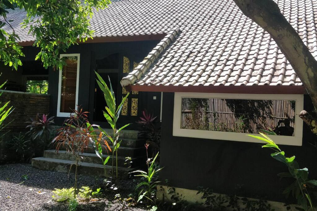Villa King: Unique Villa With Indoor Swimming Pool Amed  Exterior photo