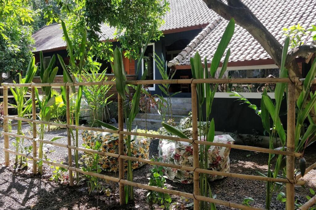 Villa King: Unique Villa With Indoor Swimming Pool Amed  Exterior photo