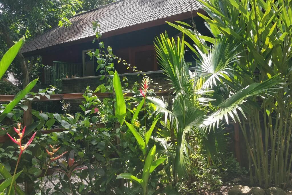 Villa King: Unique Villa With Indoor Swimming Pool Amed  Exterior photo